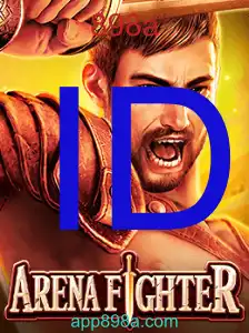 ArenaFighter
